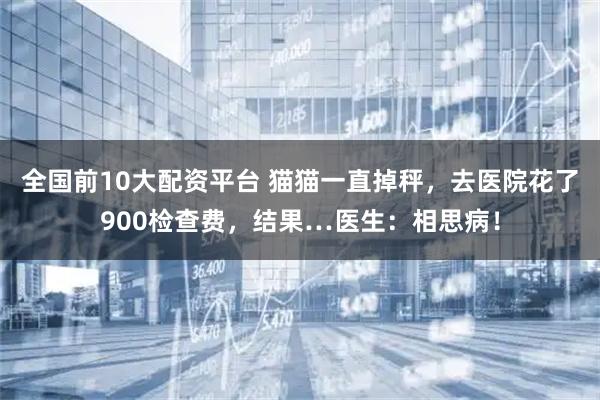 全国前10大配资平台 猫猫一直掉秤，去医院花了900检查费，结果…医生：相思病！