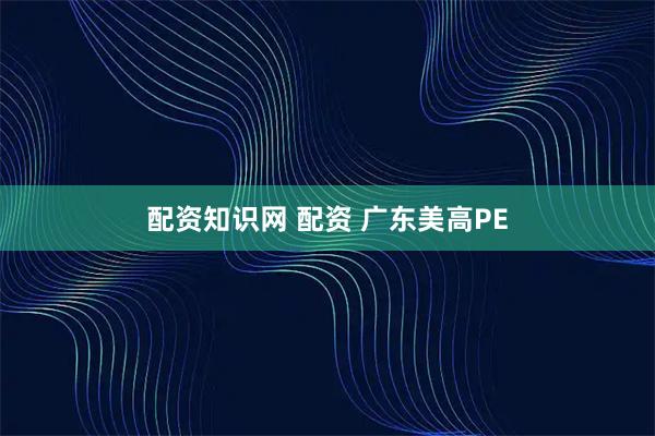 配资知识网 配资 广东美高PE